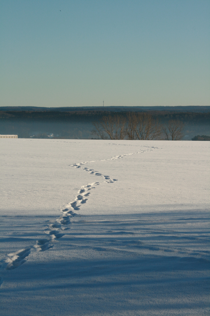 Footsteps