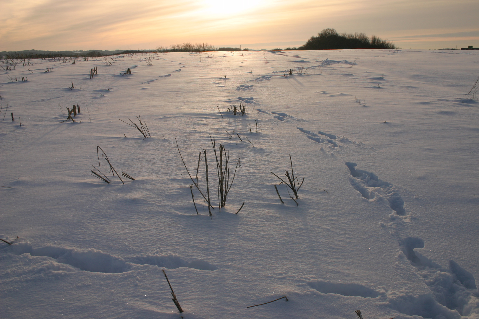 Footsteps