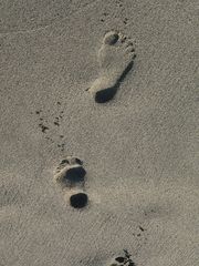 footsteps