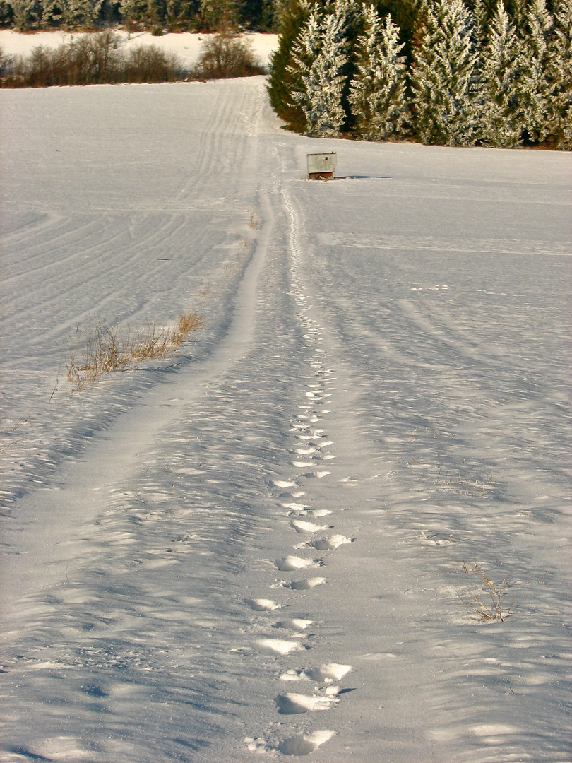 Footsteps