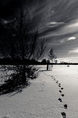 Footsteps