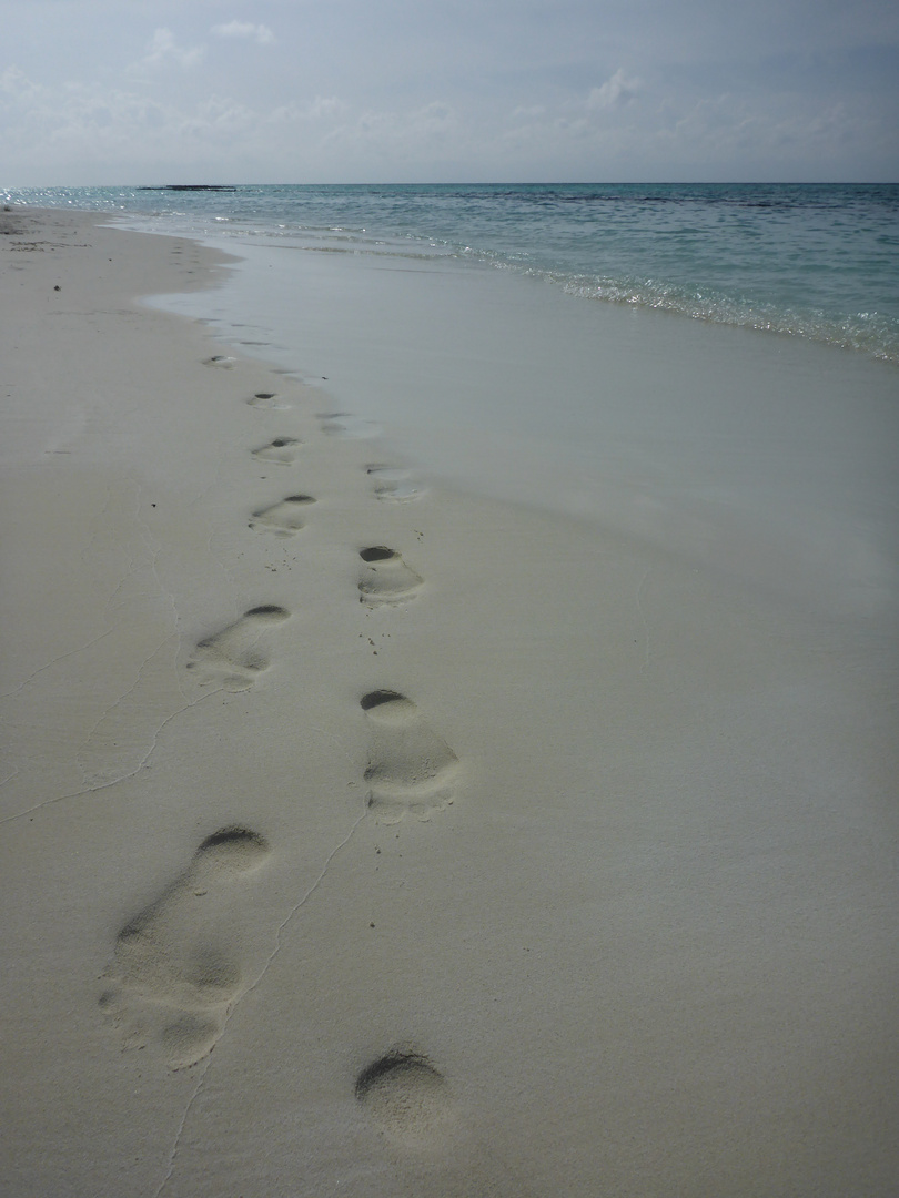 ~ footsteps ~