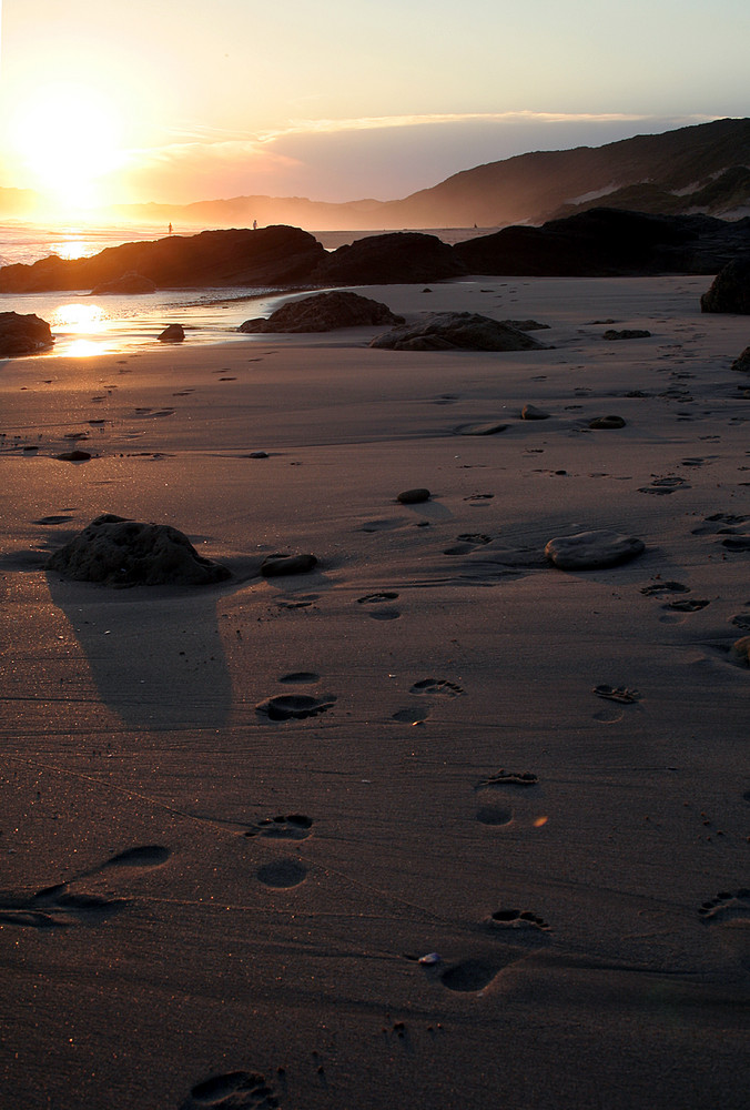 Footsteps in Sunset