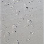 Footsteps in the Sand