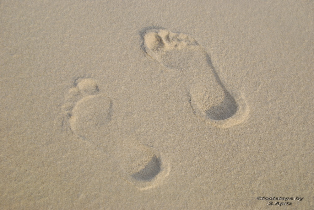 Footsteps in the sand !