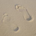 Footsteps in the sand !