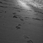 footsteps in the sand (B&W)