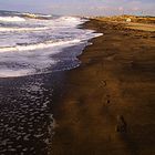 footsteps in the sand