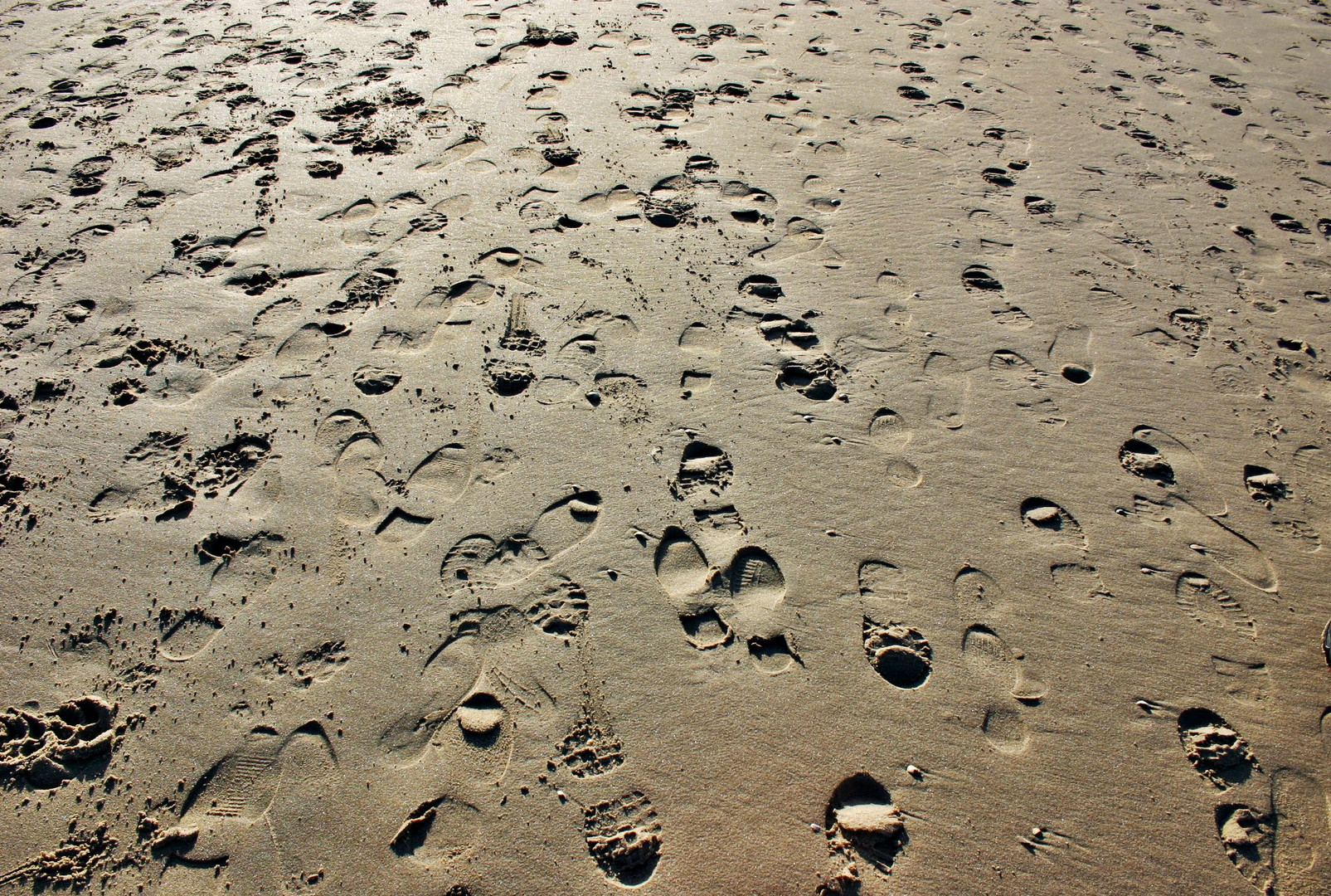 Footsteps in the sand