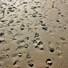 Footsteps in the sand