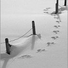 Footsteps in the snow