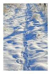 Footsteps...I can see footsteps in the snow