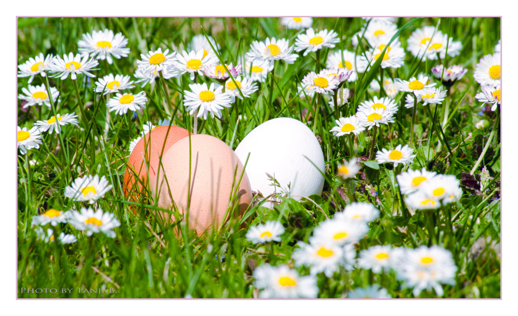 For all my friends - Schöne Ostern!