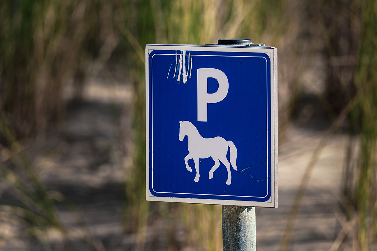 For horses only.