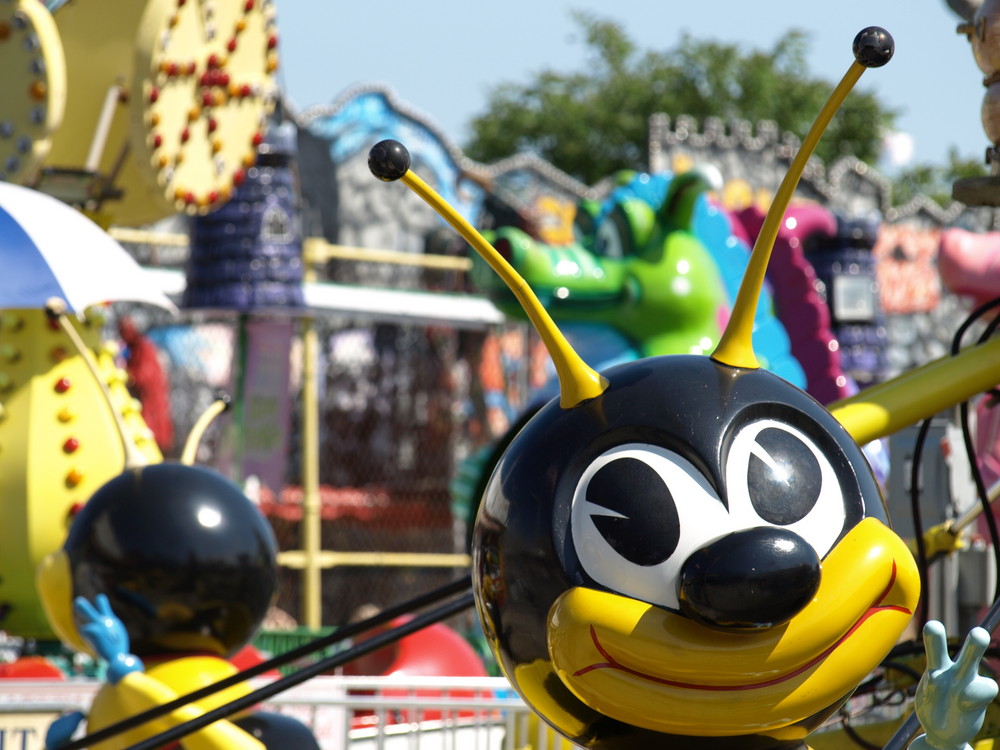 For how much longer will the bee keep smiling on Coney Island?