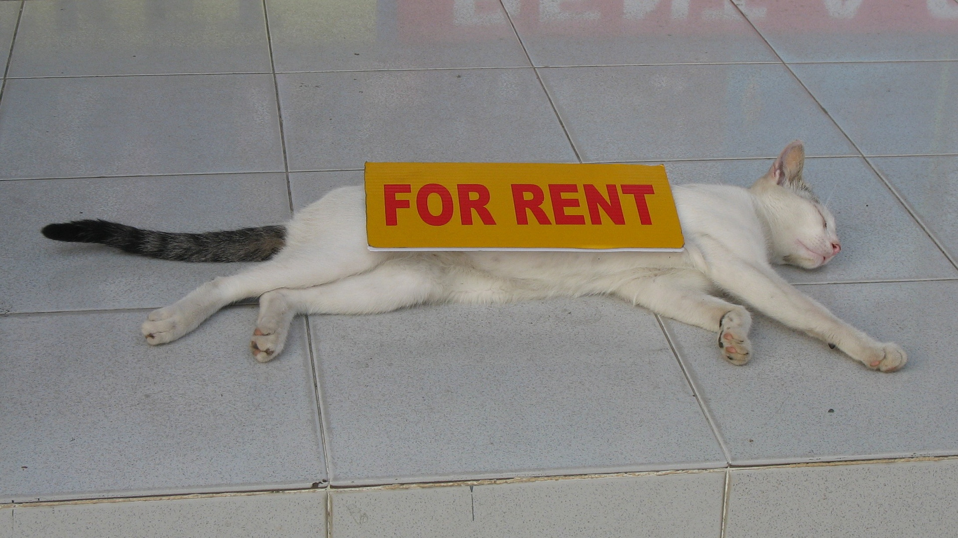 FOR RENT