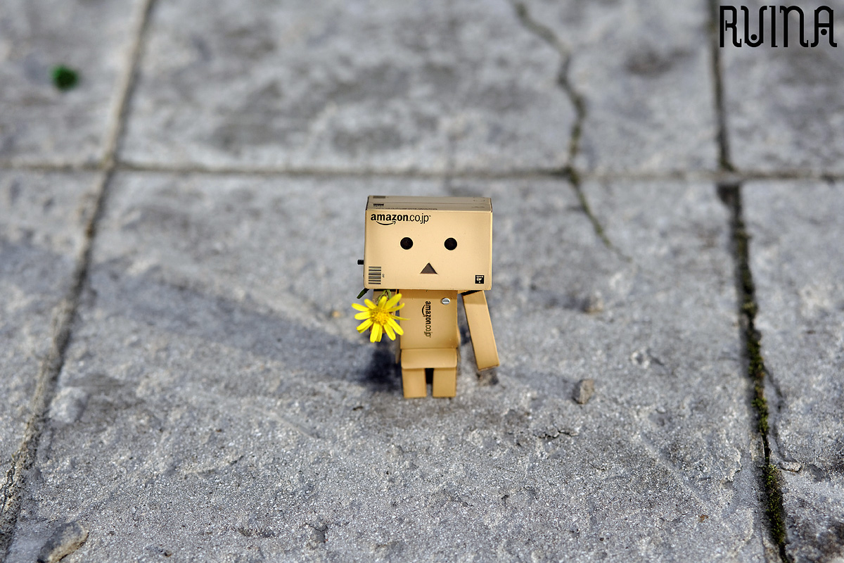 For YOU - Danbo - Flower