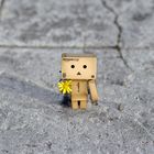 For YOU - Danbo - Flower