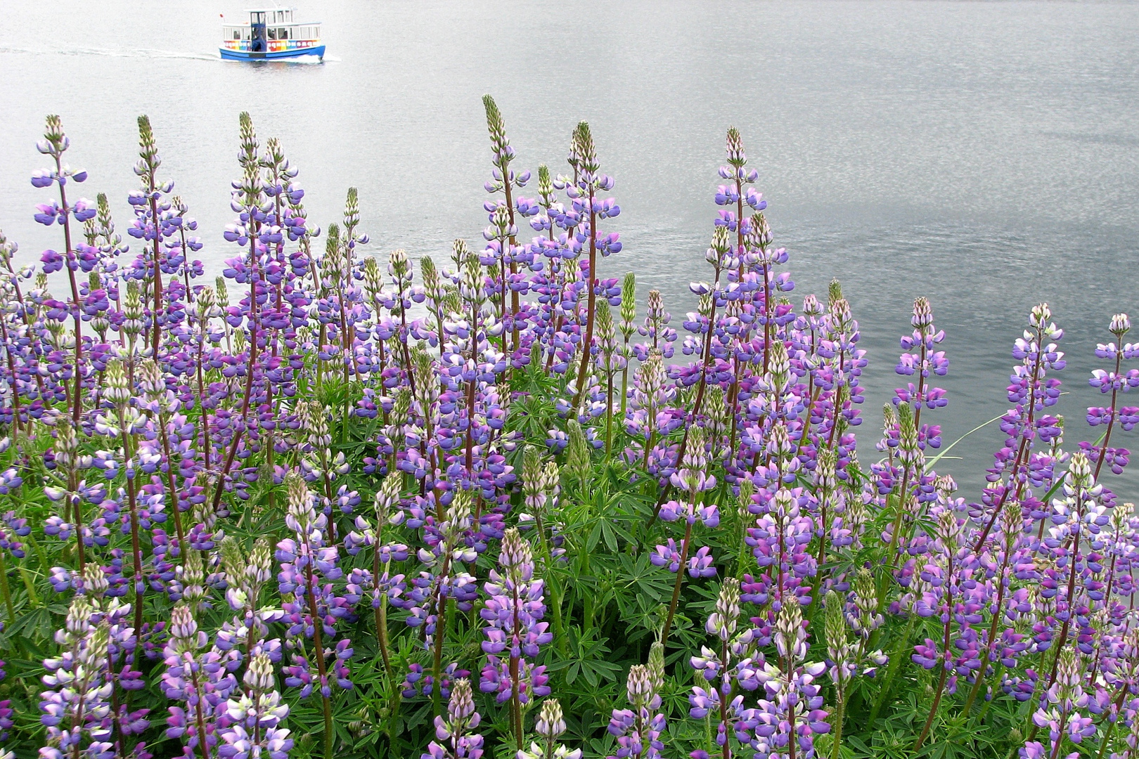 For your Sunday - a Ride on the little Ferry