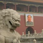 Forbidden city : entrance