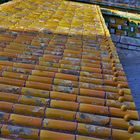 Forbidden City roofs detail.