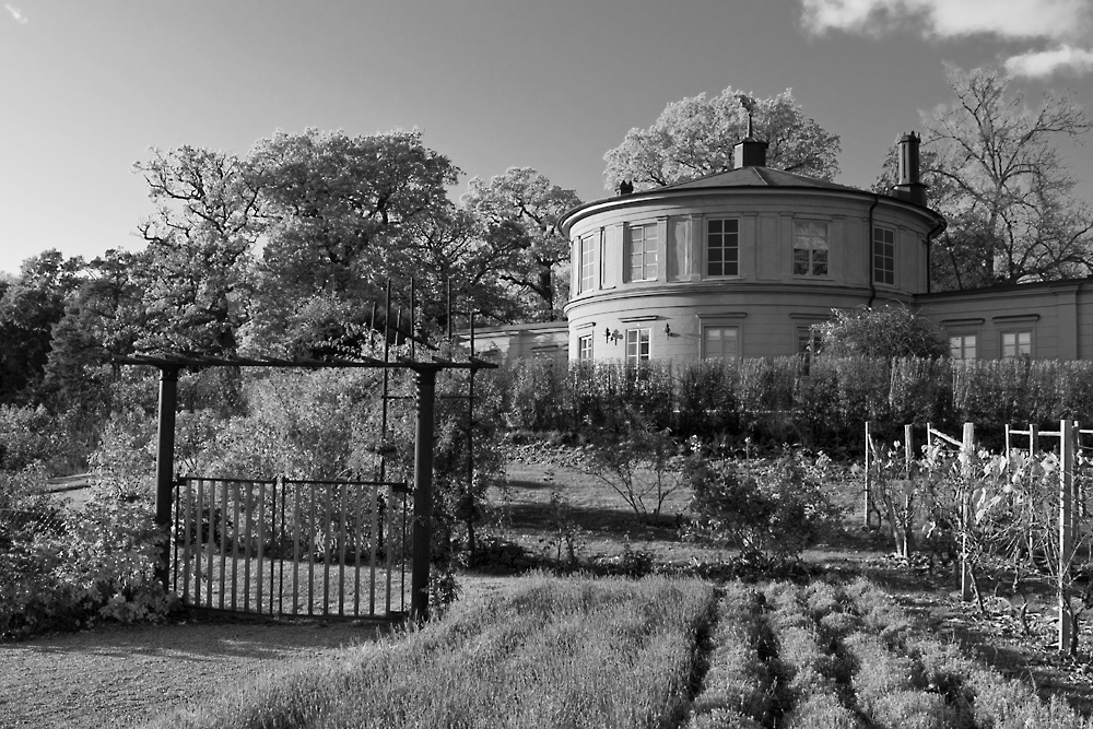 Forbidden house