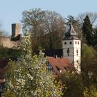 Forchtenberg "Schlossruine und Kirche im Frühling"
