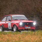Ford Escort in Rallying Saison 2020 Part 17
