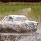 Ford Escort in Rallying Saison 2020 Part 9