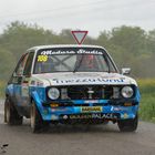 Ford Escort in Rallying Season 2019 Part 45