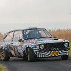 Ford Escort in Rallying Season 2019 Part 47