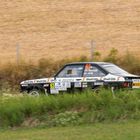 Ford Escort in Rallying Season 2019 Part 49