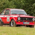 Ford Escort in Rallying Season 2019 Part 52