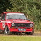 Ford Escort in Rallying Season 2019 Part 54