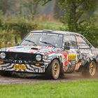 Ford Escort in Rallying Season 2019 Part 58