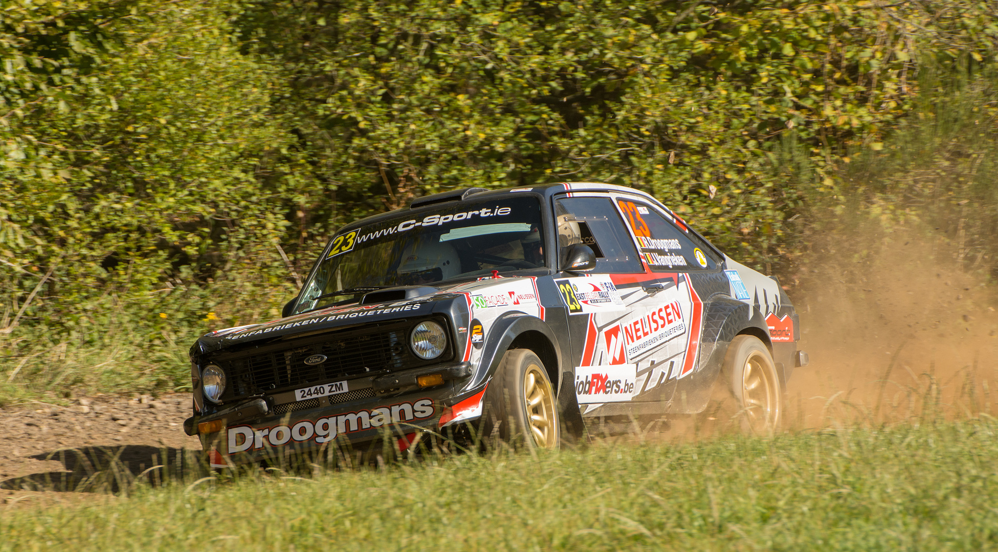 Ford Escorts at the 2018 East Belgian Rally Part XI