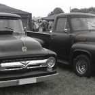 Ford F 100