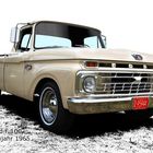 Ford F 100