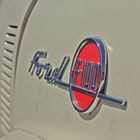 Ford F1oo
