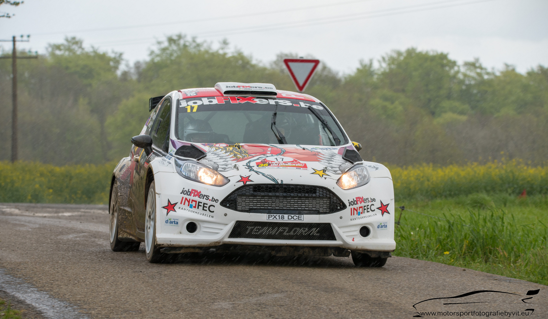 Ford Fiesta in Rallying Season 2019 Part 1