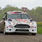 Ford Fiesta in Rallying Season 2019 Part 1