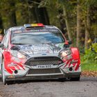 Ford Fiesta R5 Rallye du Condroz 2019 Part II