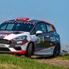 Ford Fiesta Rally 4