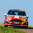 Ford Fiesta Rally 4 Part 2