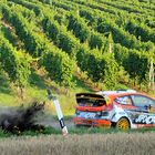 Ford Fiesta RS WRC / Martin Prokop