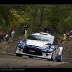 Ford fiesta S2000