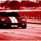 Ford GT40 in freier Wildbahn