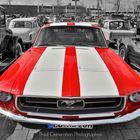 Ford Mustang #1
