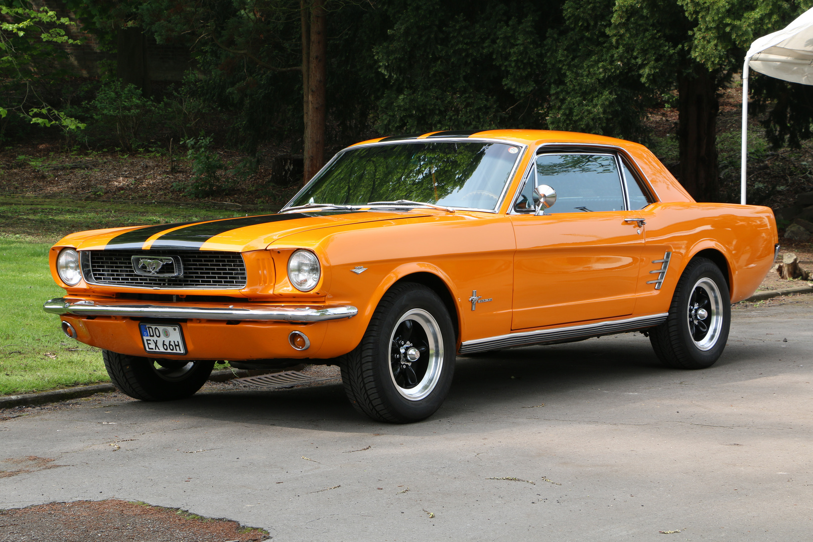 Ford Mustang, 1966