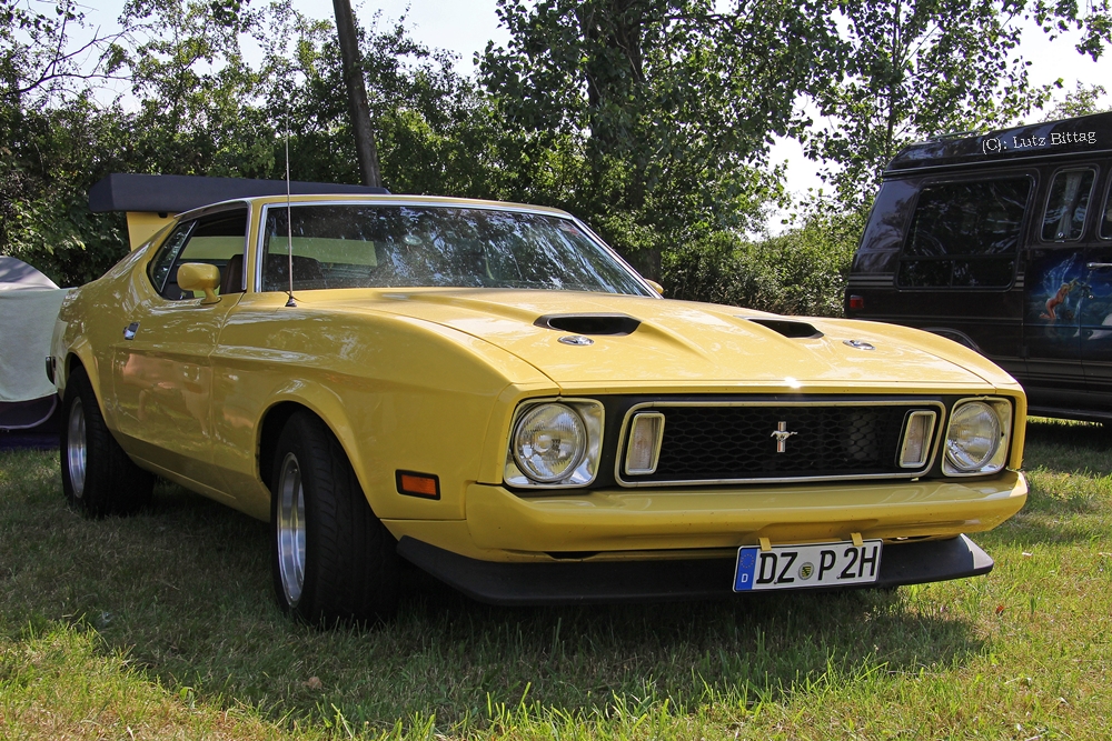 Autoschutzhülle (Autoabdeckungen) für Ford US Mustang (1971/1973